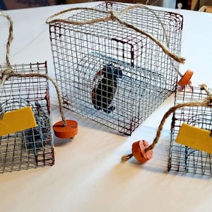 May include: Three small wire cages with orange floats and yellow paper tags. The cages are made of wire mesh and have a rustic look.