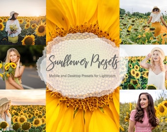 Puede incluir: Una colección de ajustes preestablecidos de Lightroom para dispositivos móviles y de escritorio, con un tema de girasol. Los ajustes preestablecidos están diseñados para mejorar las fotos con un brillo cálido y dorado, perfecto para capturar la belleza de los girasoles.