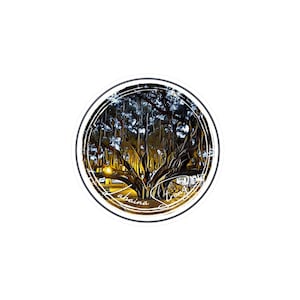 Lahaina Strong - Lahaina Banyan -,Kiss-Cut Vinyl Decals