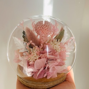 Round pink and cream toned flower dome Dried preserved flower arrangement in glass dome globe.