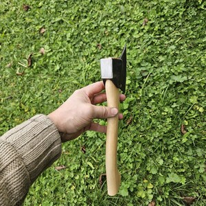 May include: A small black axe with a wooden handle. The axe is held in a hand against a green grassy background.