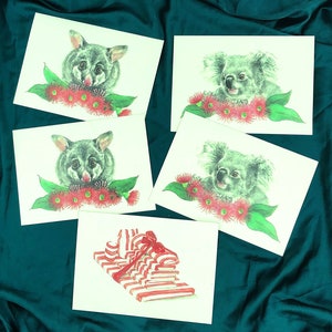 Pack de cartes de vœux pour animaux australiens de Noël