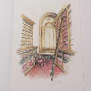 Greeting card. Library shelves and ladders and window