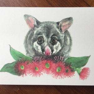 Flores de gambá e goma
