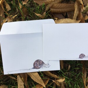 Envelope and matching notecard-  snail mail 3