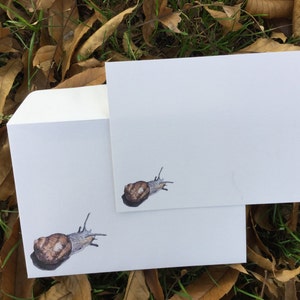 Enveloppe et note-carte assortie - courrier escargot 1