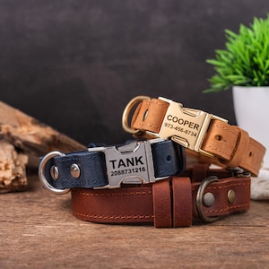 Handgefertigte hundehalsbnder - Etsy.de