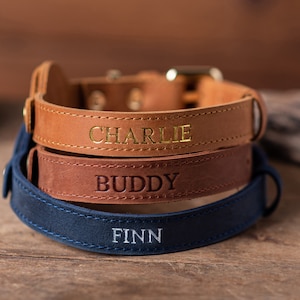 Personalized Leather Dog Collar with AirTag Holder, Personalized Dog Collar, Genuine Leather Dog Collar, Engraved Leather Dog Collar Airtag