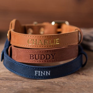 Personalized Leather Dog Collar with AirTag Holder, Personalized Dog Collar, Genuine Leather Dog Collar, Engraved Leather Dog Collar Airtag