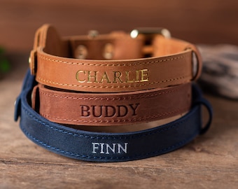 Personalized Leather Dog Collar with AirTag Holder, Personalized Dog Collar, Genuine Leather Dog Collar, Engraved Leather Dog Collar Airtag