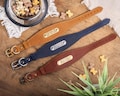 Personalized Leather Dog Greyhound Collar, Sighthound Dog Collar with Name Plate, Fishtail Dog Collar product logo
