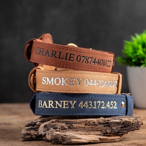 May include: Three personalized dog collars stacked on a piece of wood. The top collar is brown with "CHARLIE 07874401022" embossed. The middle collar is tan with "SMOKEY 044-134-0111". The bottom collar is navy blue with "BARNEY 443.172.452".