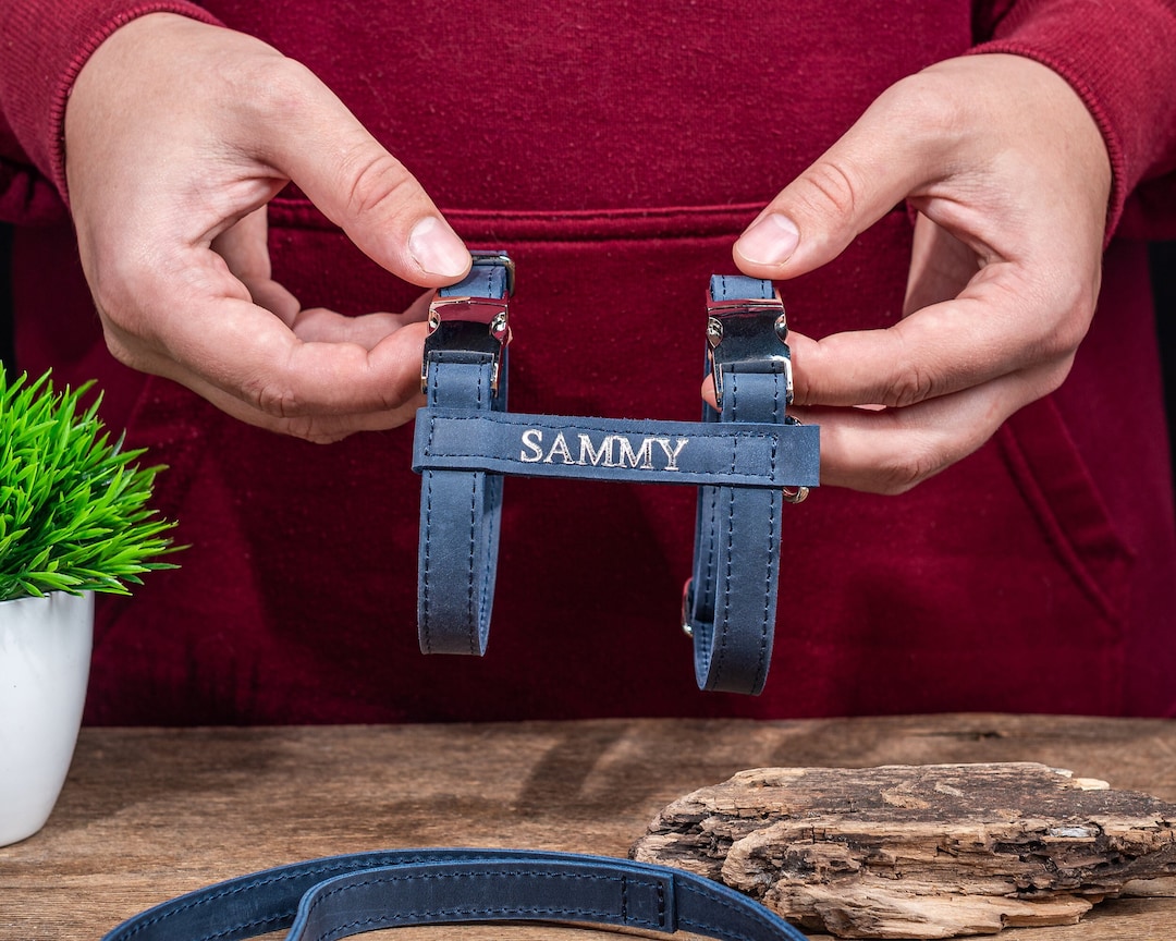 Personalized Leather Cat Harness, Adjustable Cat Harness and Leash