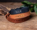 Personalized Leather Dog Collar, Personalized Dog Collar, Genuine Leather Dog Collar, Engraved Leather Dog Collar, Customized Dog Collar product logo