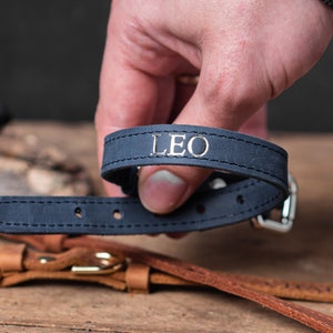 May include: A navy blue leather dog collar with silver stitching and the name "LEO" embossed in silver lettering.