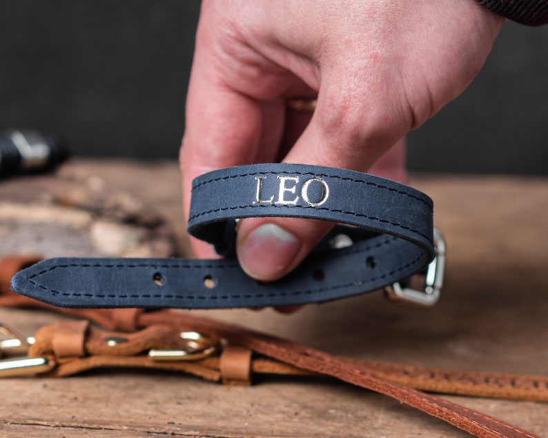 May include: A navy blue leather dog collar with silver stitching and the name "LEO" embossed in silver lettering.