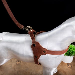 Personalized Leather Dog Harness with Holder for Airtag, Customized Dog Harness with Pocket Holder for Tracker image 10