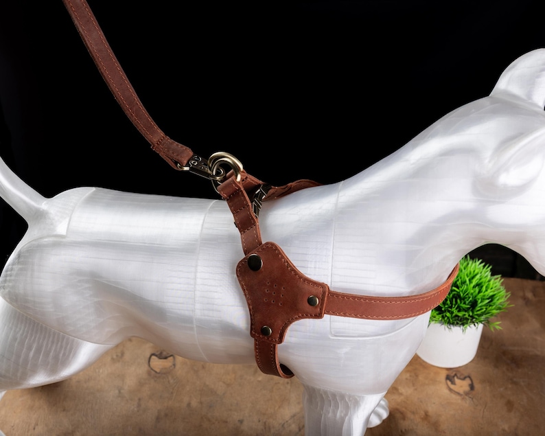 Personalized Leather Dog Harness with Holder for Airtag, Customized Dog Harness with Pocket Holder for Tracker image 10