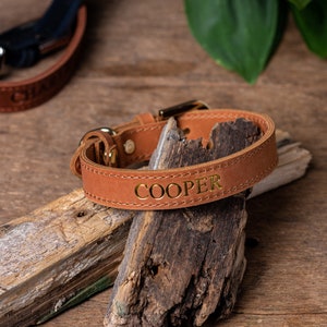 May include: A brown leather dog collar with gold hardware and the name "COOPER" embossed in gold lettering.