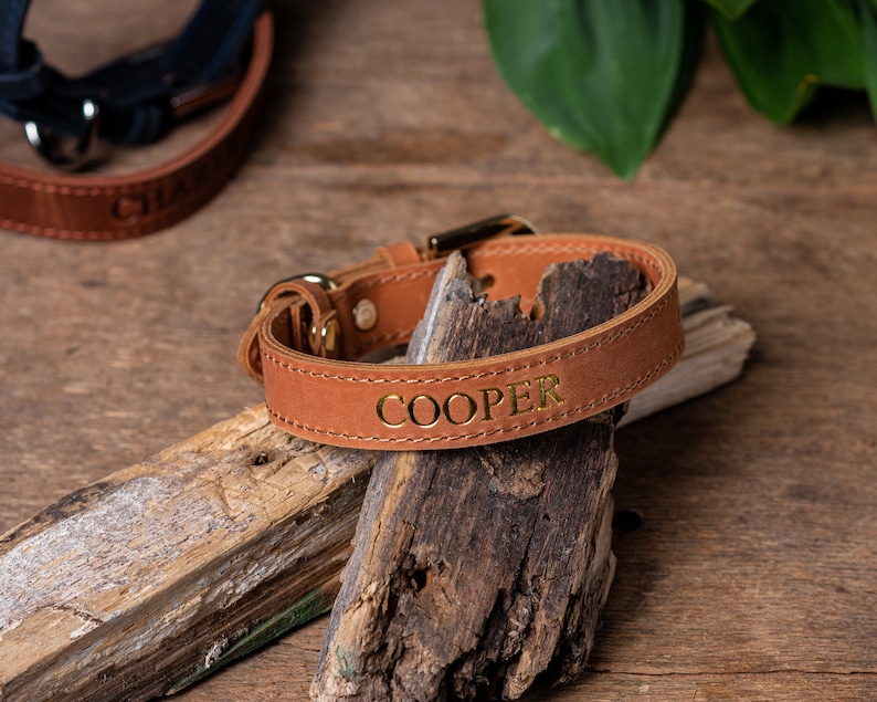 May include: A brown leather dog collar with gold hardware and the name "COOPER" embossed in gold lettering.