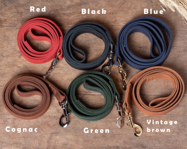 May include: Six leather dog leashes in different colors: red, black, blue, cognac, green, and vintage brown. Each leash has a metal clasp.