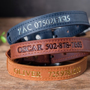 Personalized Leather Dog Collar, Personalized Dog Collar, Genuine Leather Dog Collar, Engraved Leather Dog Collar, Customized Dog Collar
