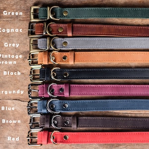 May include: A set of ten leather dog collars in various colors, including green, cognac, grey, vintage brown, black, burgundy, blue, brown, and red. Each collar has a gold metal buckle and D-ring.