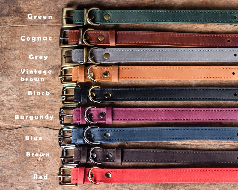 May include: A set of ten leather dog collars in various colors, including green, cognac, grey, vintage brown, black, burgundy, blue, brown, and red. Each collar has a gold metal buckle and D-ring.