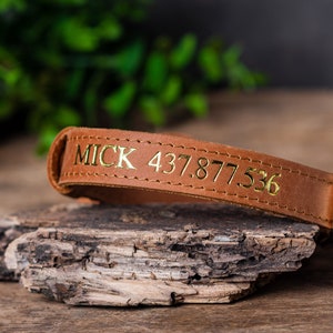 Personalized Leather Dog Collar with AirTag Holder, Personalized Dog Collar, Genuine Leather Dog Collar, Engraved Leather Dog Collar AirTag image 5