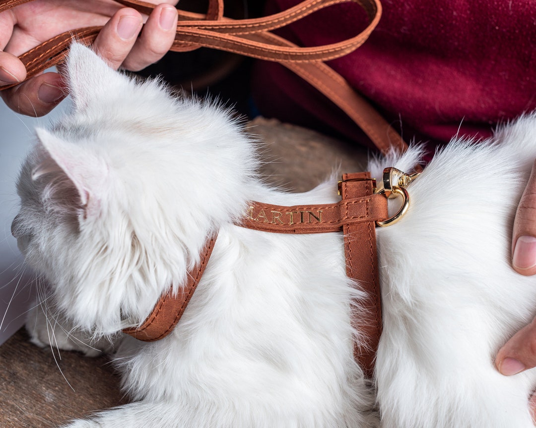 Personalized Leather Cat Harness, Adjustable Cat Harness and Leash