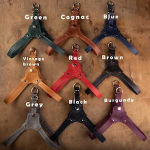 May include: A collection of leather dog harnesses in various colors, including green, cognac, blue, vintage brown, red, brown, grey, black, and burgundy. Each harness features a handle and metal hardware.