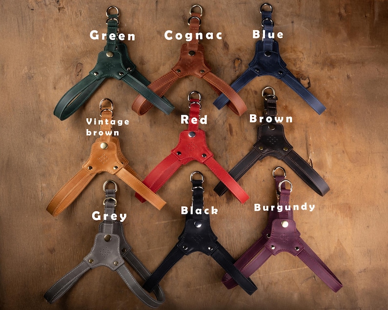 May include: A collection of leather dog harnesses in various colors, including green, cognac, blue, vintage brown, red, brown, grey, black, and burgundy. Each harness features a handle and metal hardware.