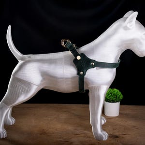 May include: A white dog statue with a dark green leather dog harness. The harness has gold-colored metal hardware. The dog statue is on a wooden surface with a small green plant in a white pot.