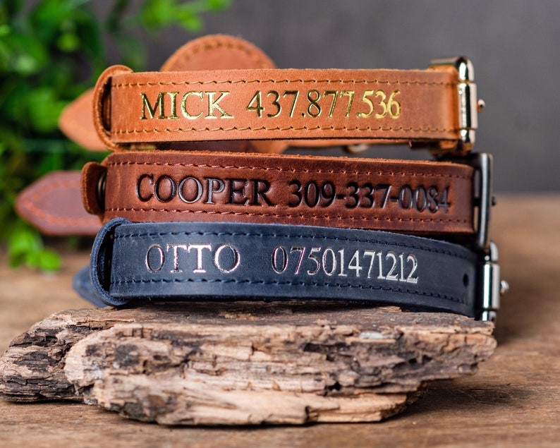 Personalized Leather Dog Collar with AirTag Holder, Personalized Dog Collar, Genuine Leather Dog Collar, Engraved Leather Dog Collar AirTag image 6