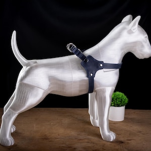 May include: A white dog statue wearing a navy blue leather harness with silver hardware. The dog is standing on a wooden surface with a small green plant in a white pot in the background. The background is black.