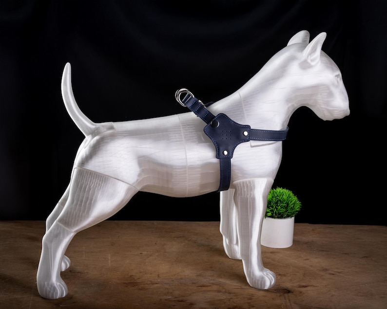May include: A white dog statue wearing a navy blue leather harness with silver hardware. The dog is standing on a wooden surface with a small green plant in a white pot in the background. The background is black.