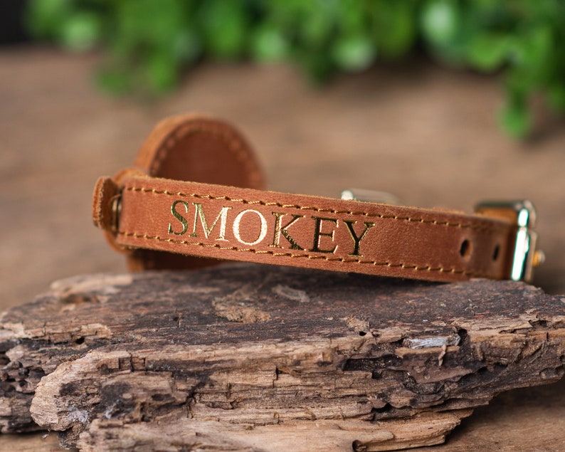 Personalized Leather Cat Collar with AirTag Holder, Personalized Cat Collar, Genuine Leather Cat Collar, Engraved Leather Cat Collar AirTag image 6