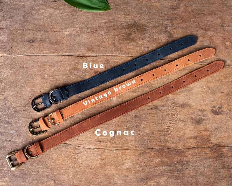 May include: Three leather dog collars in different colors: blue, vintage brown, and cognac. The collars are laid out on a wooden surface.