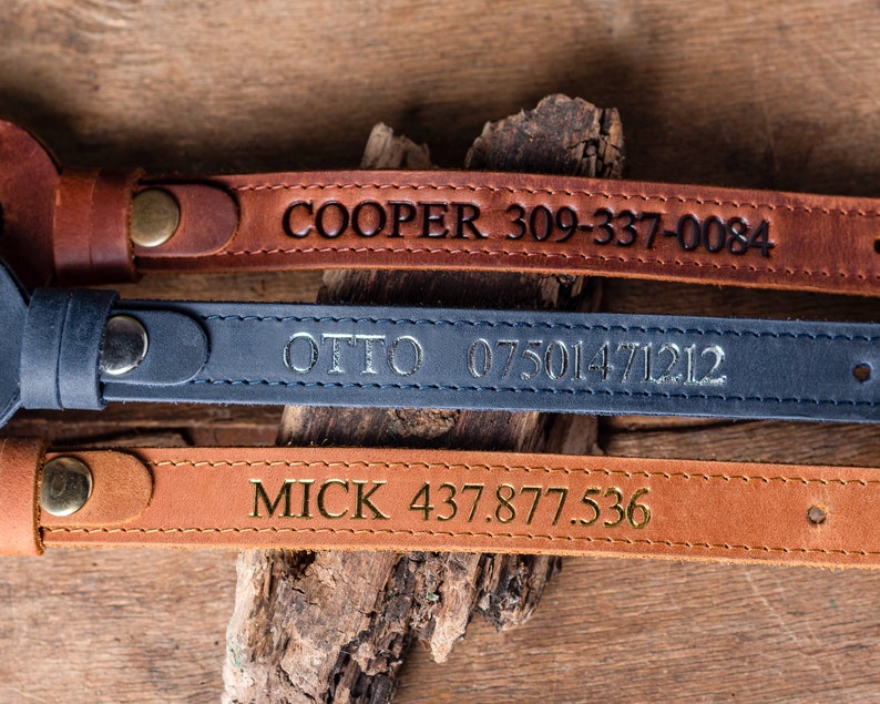 Personalized Leather Dog Collar with AirTag Holder, Personalized Dog Collar, Genuine Leather Dog Collar, Engraved Leather Dog Collar AirTag image 8