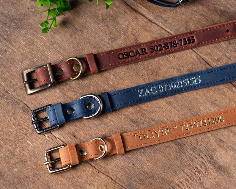May include: Three personalized leather dog collars in brown, blue, and tan with gold metal buckles. The collars are engraved with the names "Oscar", "Zac", and "Oliver" along with phone numbers.