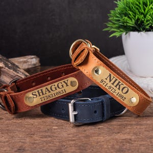 Op de afbeelding: Twee leren hondenhalsbanden met gepersonaliseerde messing naamplaatjes. De bruine halsband heeft de naam "Shaggy" en het telefoonnummer "7738310831". De beige halsband heeft de naam "Niko" en het telefoonnummer "971-973-1092".