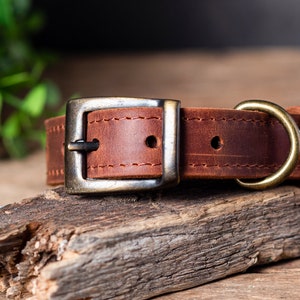 Personligt hundhalsband i läder, Personligt hundhalsband, Hundhalsband i äkta läder, Graverat hundhalsband i läder, Anpassat hundhalsband bild 4