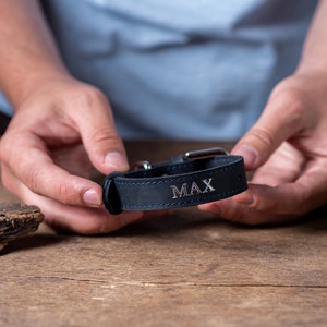 May include: A dark blue leather dog collar with silver hardware and the name "MAX" engraved on it.