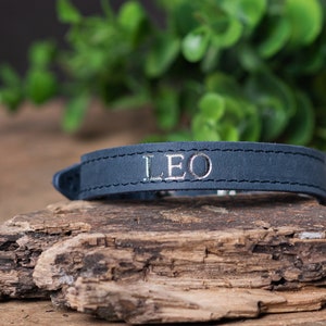 May include: A dark blue leather collar with the name "LEO" engraved in silver lettering. The collar is on a wooden surface.