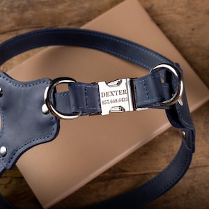 May include: A navy blue leather dog harness with silver-tone hardware. The harness features a buckle engraved with "DEXTER" and a phone number. The harness is stitched with navy thread and has a padded chest plate.