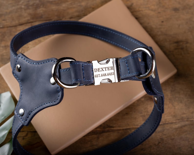 May include: A navy blue leather dog harness with silver-tone hardware. The harness features a buckle engraved with "DEXTER" and a phone number. The harness is stitched with navy thread and has a padded chest plate.