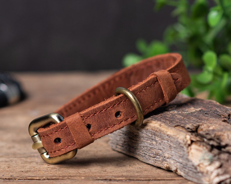 May include: A brown leather dog collar with a brass buckle. The collar is lying on a piece of weathered wood.