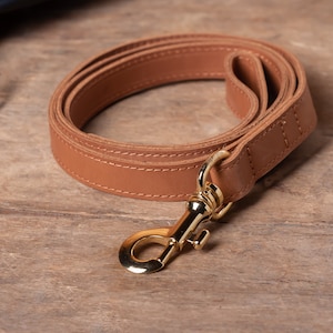 May include: A brown leather dog leash with a gold metal clasp. The leash is folded in a circle and the clasp is visible.