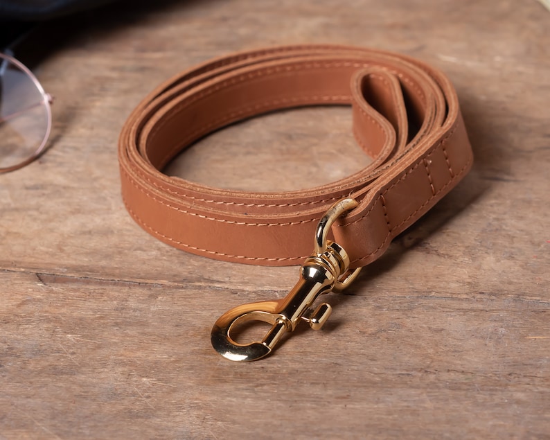 May include: A brown leather dog leash with a gold metal clasp. The leash is folded in a circle and the clasp is visible.