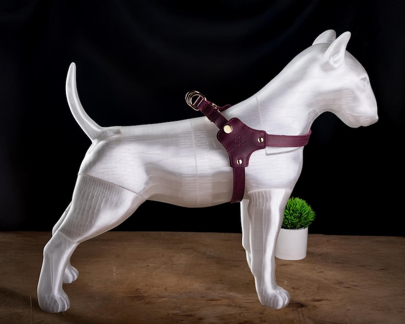 Personalized Leather Dog Harness with Holder for Airtag, Customized Dog Harness with Pocket Holder for Tracker Burgundy